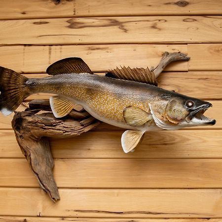 Walleye Inn Baudette Exteriér fotografie