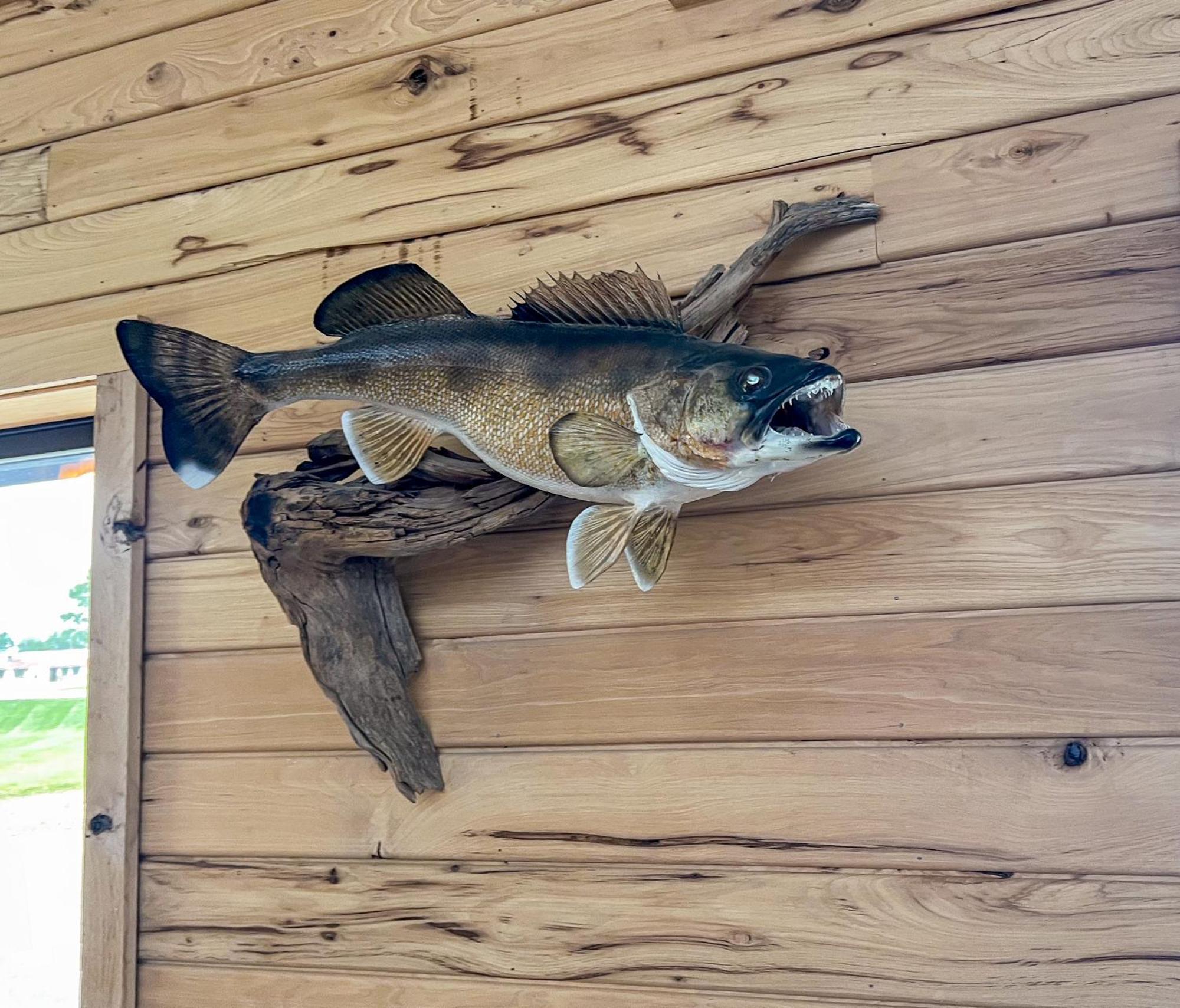 Walleye Inn Baudette Exteriér fotografie